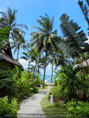 Peace Resort - Pix 18