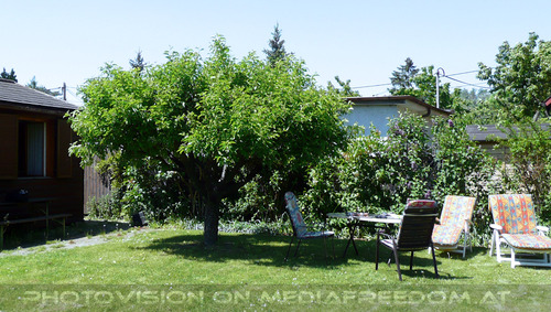 Schrebergarten Flair 1