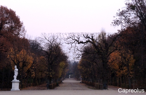 Schlosspark in der Abendd�mmerung