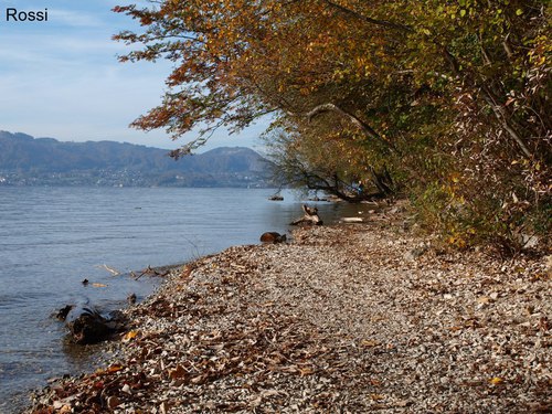 Herbststimmung am Traunsee 2