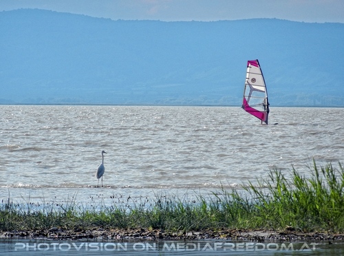 Am Meer der Wiener 37
