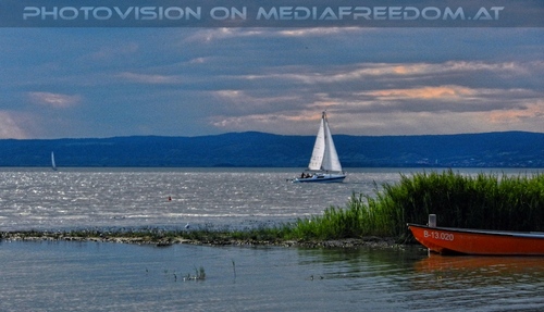 Am Meer der Wiener 40