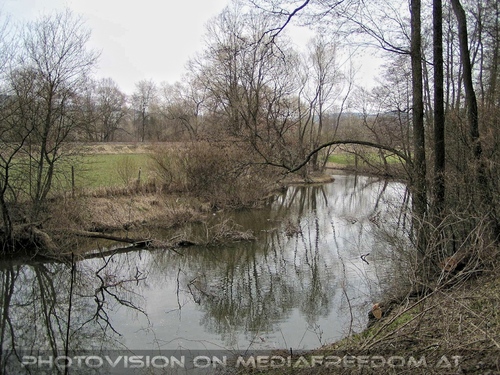 Erholungs Waldgebiet 03