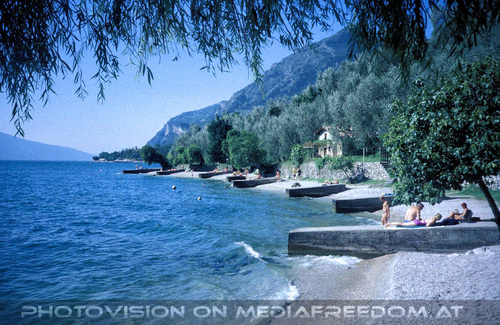 Al lago dei cigni 05