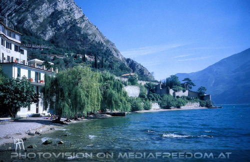 Al lago dei cigni 06