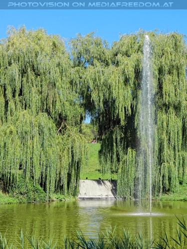 Kurpark Oberlaa Springbrunnen
