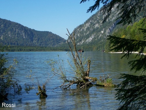 Herbstimpressionen am Almsee