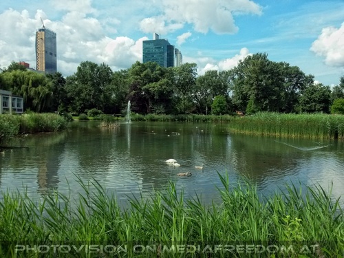 Teich mit Schwanfamilie