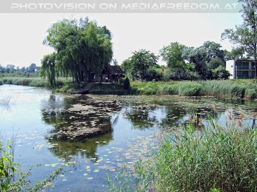 Versteckte Schilfh�tte am Ausee