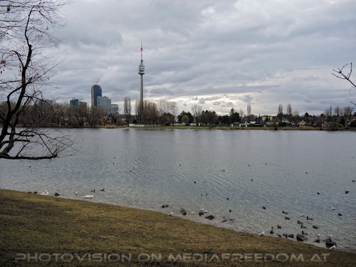 Wasservogel Paradies 01