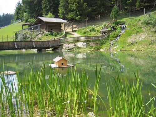 Wildpark Teich