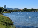 Alte Donau