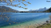 Fr�hling am Wolfgangsee