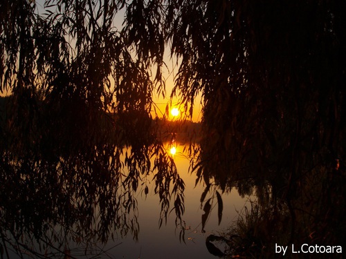 Sonnenuntergang an der Donau 2