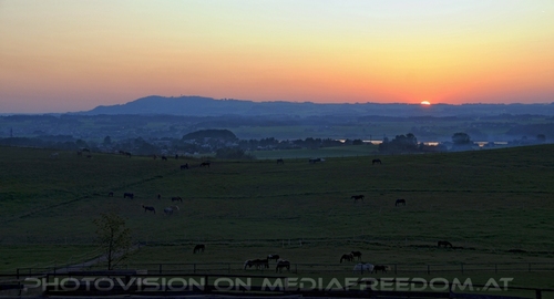 Hemmungslos Liebe 81