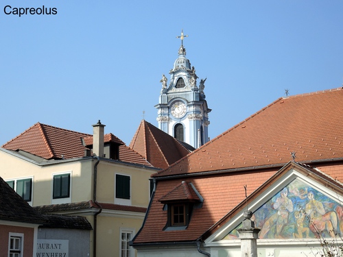Blick auf den Turm der Stiftskirche D�rnstein