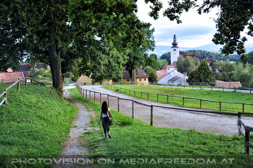 Lipizzaner Heimat 11