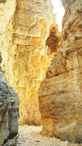 Farbenspiel der Natur