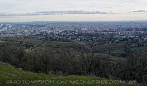 Blick auf Wien 2