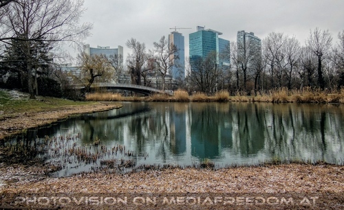 Natur in der Stadt 03