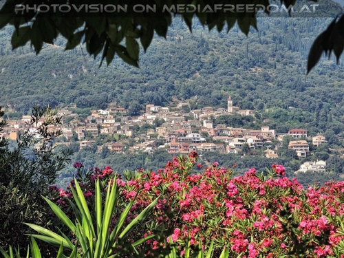 Der kaiserliche Geburtstag 28