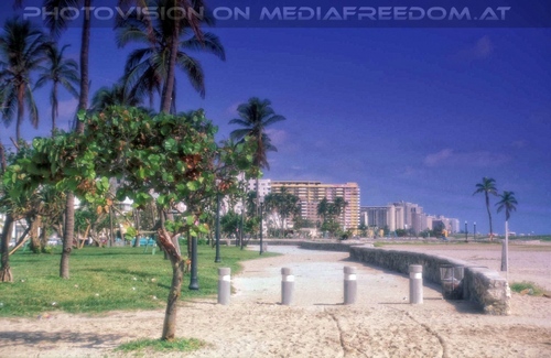 Miami Beach 15
