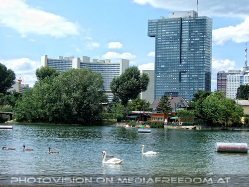 Schw�ne und Donaucity