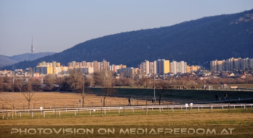 Advent im Schloss 23