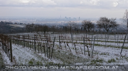 Advent Stimmung 01 - Blick �ber Wien