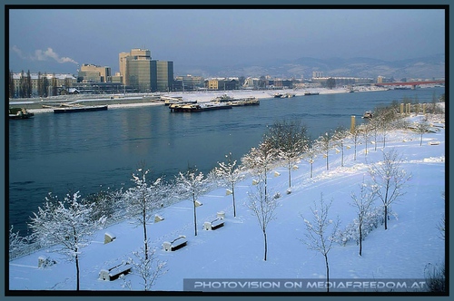 Blick �ber die Donau in Richtung Kahlenberg