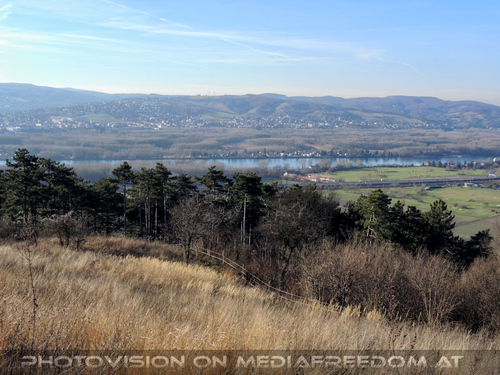 The Spirit of Friends 07