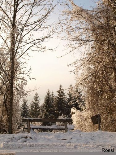 Blick ins diesige Kremstal