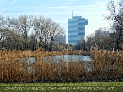 Teich und Donau City