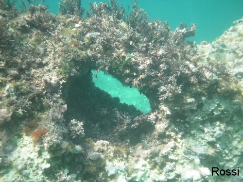 Triumpfbogen unter Wasser