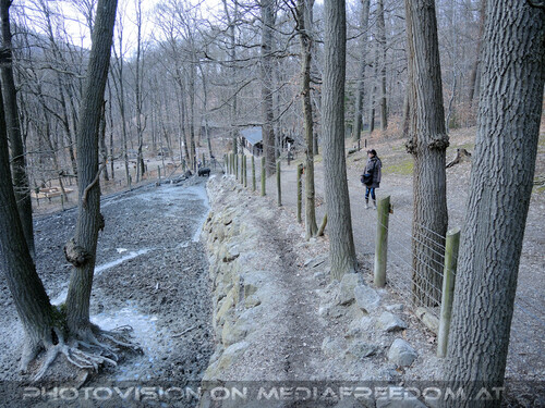 Den Wald sch�tzen 19