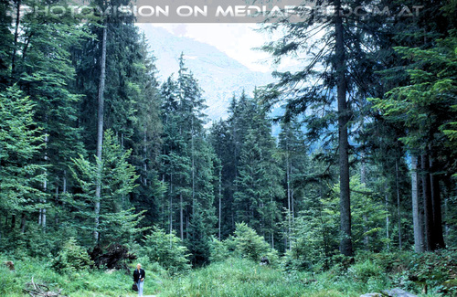 Sch�n nicht �d 05