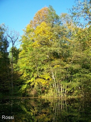 Die Farben des Herbst, Teil 1