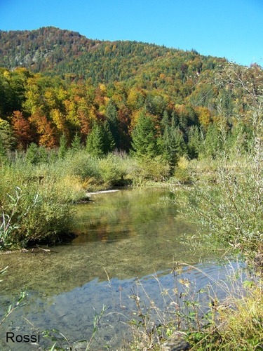 Die Farben des Herbst, Teil 2