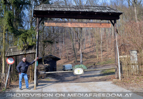 Den Wald sch�tzen 15