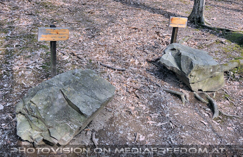 Den Wald sch�tzen 20