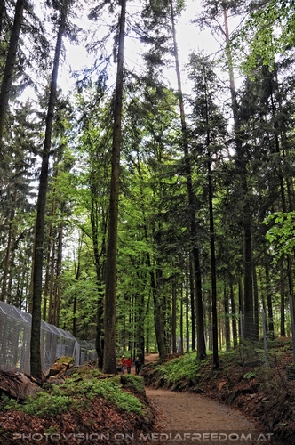 F�r vier Pfoten 69