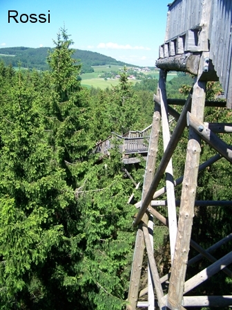Baumkronenweg in Kopfing