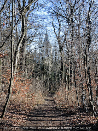 Waldweg zur Kirche