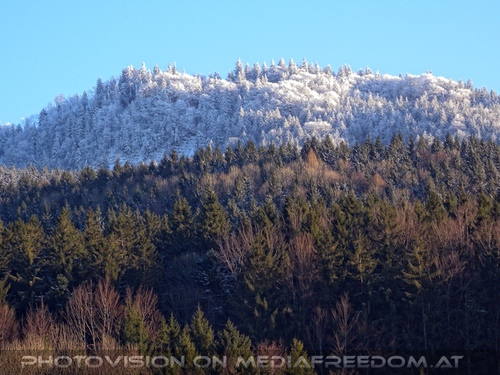 Im Paradies f�r Tiere 40