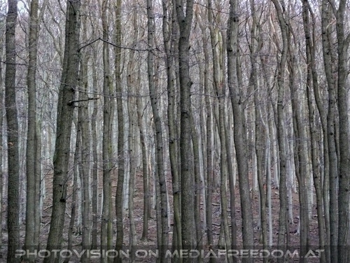 Wilder Spaziergang 14