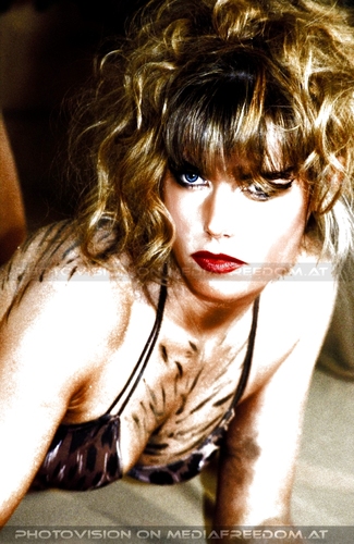 Raubkatzen Shooting Pix 11