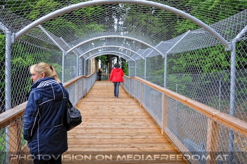 F�r vier Pfoten 11