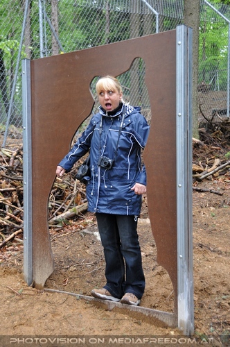 F�r vier Pfoten 19