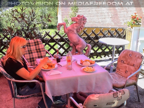 Im Lipizzanergest�t 02