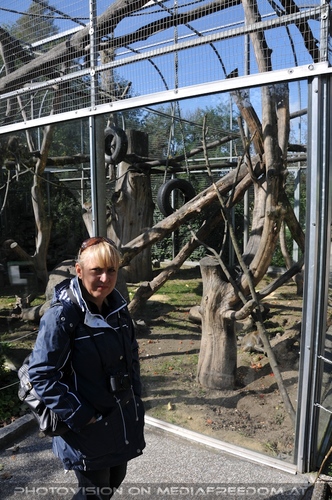 Linzer Tiergarten 05